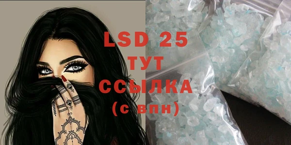 PSILOCYBIN Гусь-Хрустальный