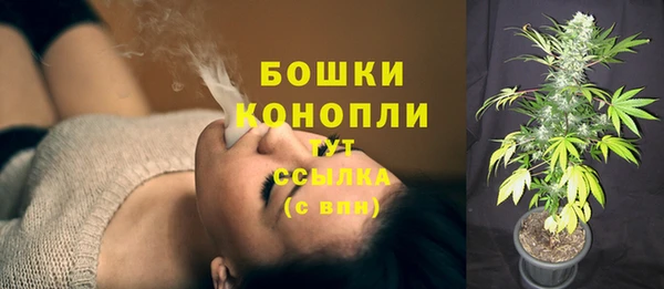 PSILOCYBIN Гусь-Хрустальный