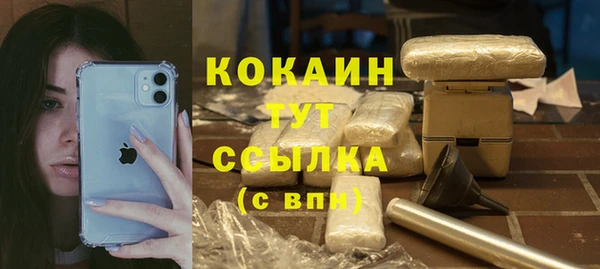 бошки Гусев