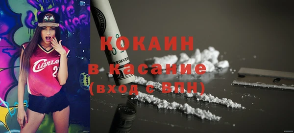 PSILOCYBIN Гусь-Хрустальный
