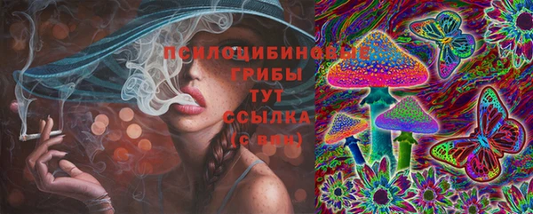 индика Гусиноозёрск