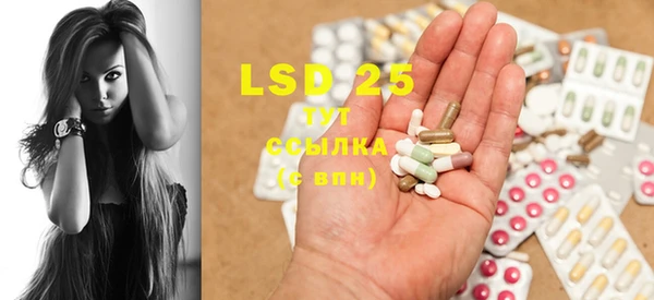 PSILOCYBIN Гусь-Хрустальный