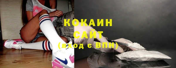 индика Гусиноозёрск