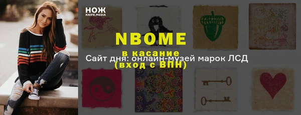 индика Гусиноозёрск