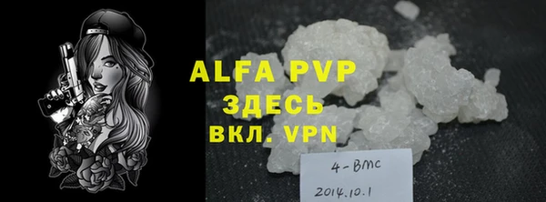 индика Гусиноозёрск