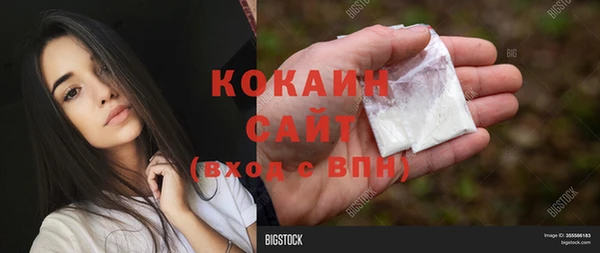 индика Гусиноозёрск