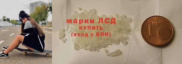 индика Гусиноозёрск