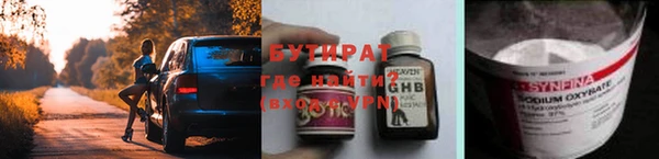индика Гусиноозёрск