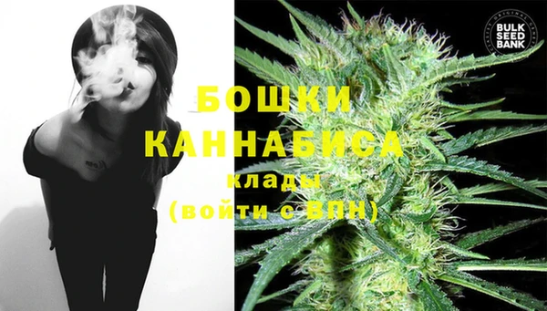 бошки Гусев
