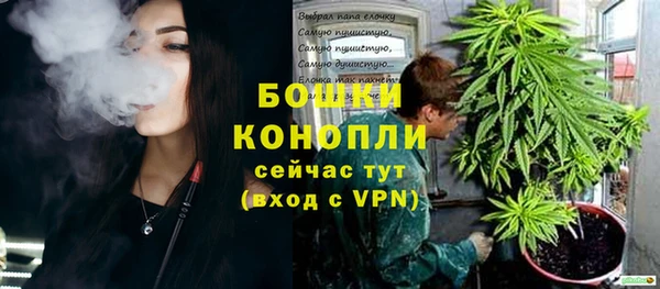 индика Гусиноозёрск