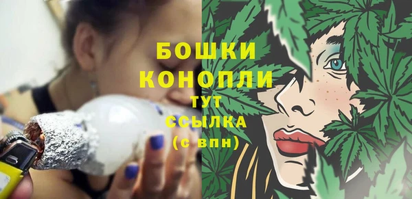 индика Гусиноозёрск