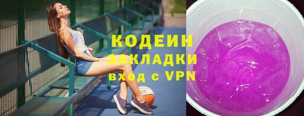 индика Гусиноозёрск