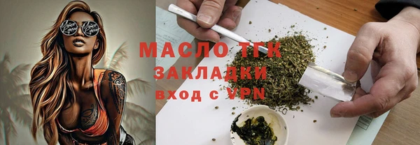 индика Гусиноозёрск