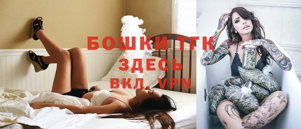 бошки Гусев