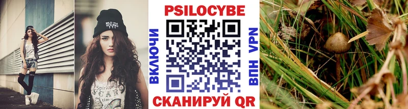 Галлюциногенные грибы Psilocybine cubensis  МЕГА сайт  Жердевка  цены  